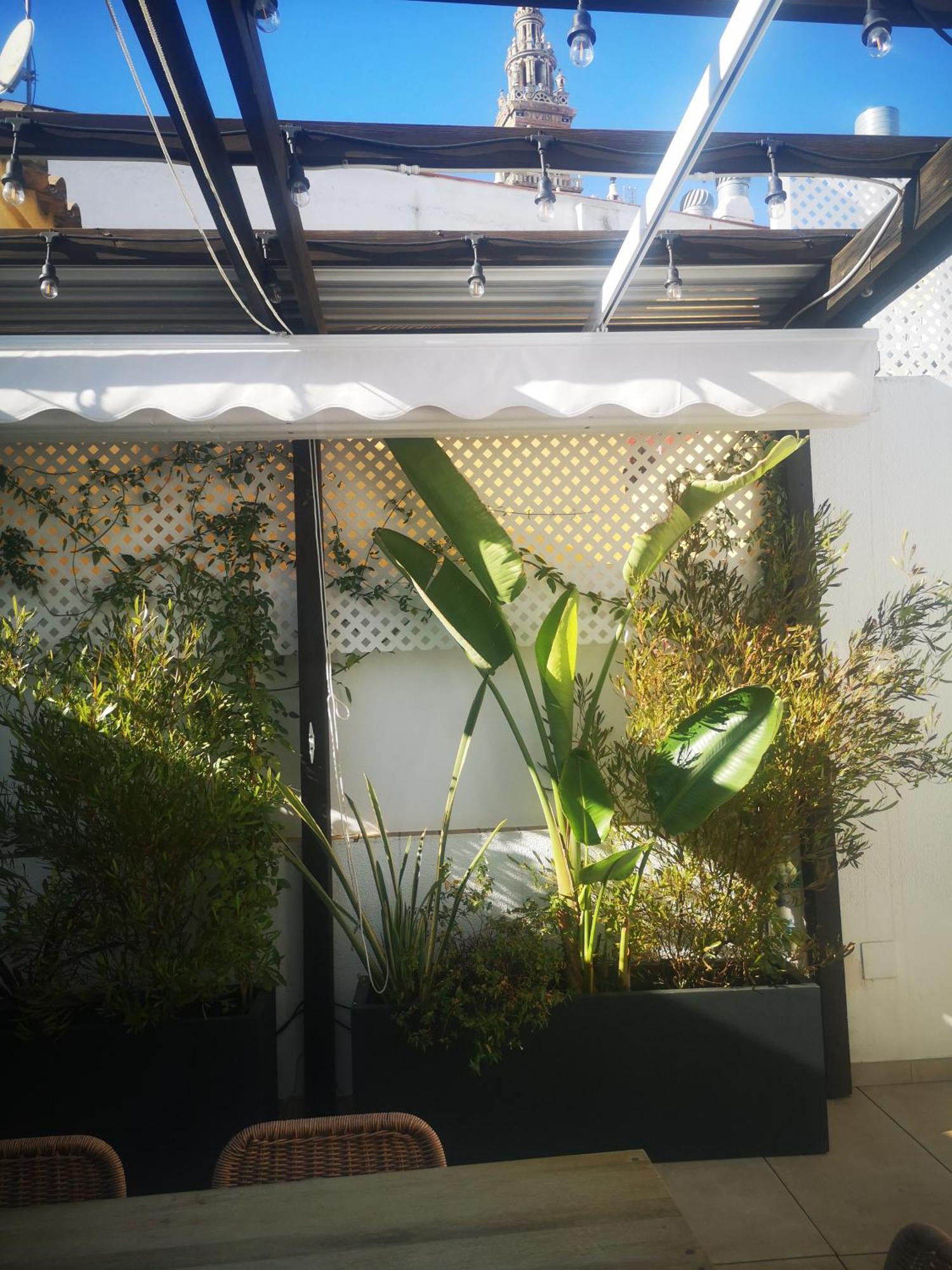 Duplex Luxury Giralda With Terrace Apartment Seville Ngoại thất bức ảnh